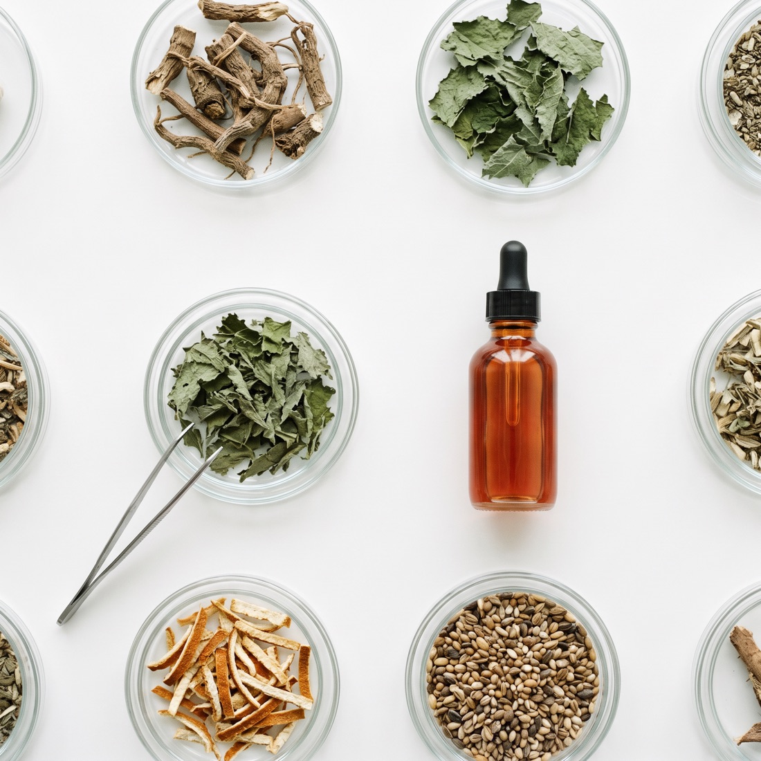 Чашки Петри с растительным сырьём и капельница с экстрактом